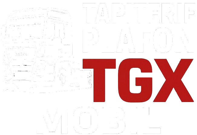 Logo Retapitare Plafon MAN TGX